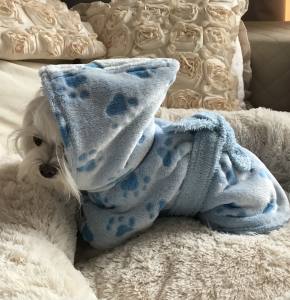 LEO Doppelseitiger Bademantel Wärmer für Hunde