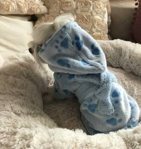 LEO Doppelseitiger Bademantel Wärmer für Hunde