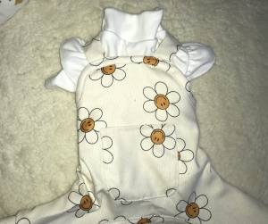 Latzhose Hundehose Winterhose FLOWER CREME