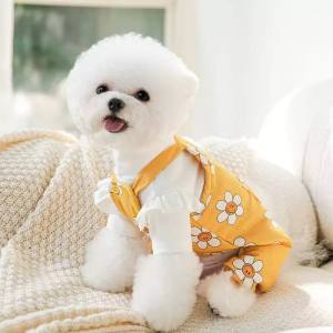 Latzhose Hundehose Winterhose FLOWER YELLOW