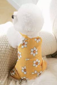 Latzhose Hundehose Winterhose FLOWER YELLOW