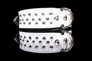 Lederhalsband   BIG DOG mit NIETEN Gr.4