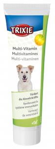 Multi-Vitamin Paste 100 G