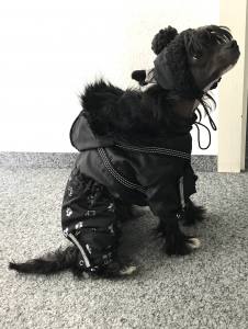 *NORDSKAR *Hunde Winteranzug mit Geschirr kurze Beine für Hunde RESTPOSTEN