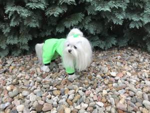 Netzanzug,Waldanzug,Schutzanzug,Wickelanzug Neon Green
