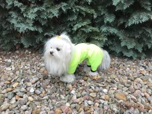 Netzanzug,Waldanzug,Schutzanzug,Wickelanzug Neon Yellow