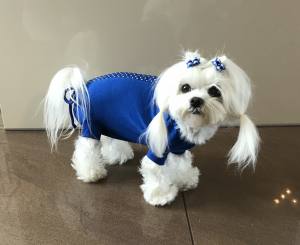 OP Body Hemd für Hunde BLUE KÖNIGSBLAU