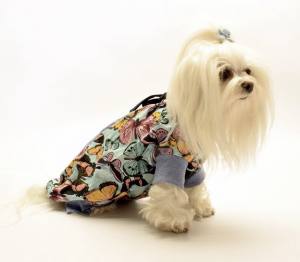 OP Body BLUE BUTTERFLY Hunde Body EXTRA für Weibchen