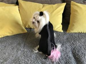 OP Body Hunde Body aus Baumwolle BLACK