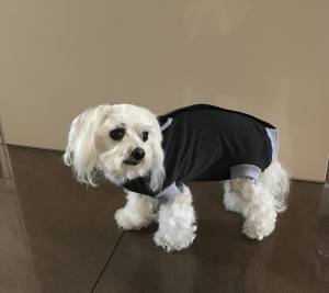 OP Body Hunde Body aus Baumwolle GREY