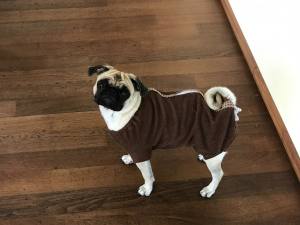 OP Body mit Hinterbeinen aus Frottee Rose