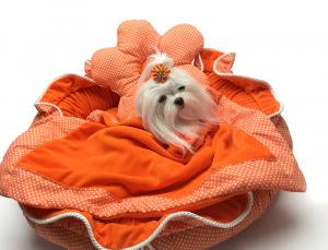 Hundebett ORANGE FLOWER  Limited Edition