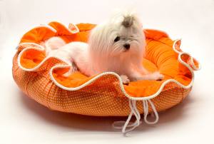 Hundebett ORANGE FLOWER  Limited Edition