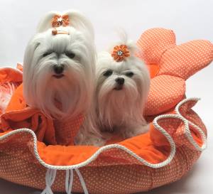 Hundebett ORANGE FLOWER  Limited Edition