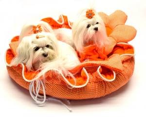 Hundebett ORANGE FLOWER  Limited Edition