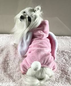 Hunde Overall,Jogginganzug PINK
