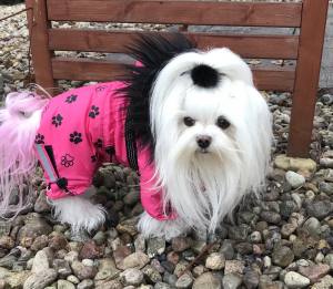 *LAHTI * Wintermantel GIRLS ONLY mit GESCHIRR kurze Beine RESTPOSTEN