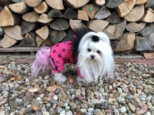 *LAHTI * Wintermantel GIRLS ONLY mit GESCHIRR kurze Beine RESTPOSTEN