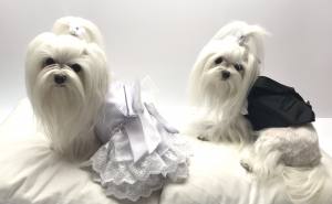 Hunde Party Kleid MADELINE