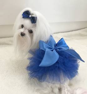 PartyKleid ,Hochzeitkleid Brautkleid BLAU BEAUTY DOG