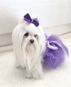 PartyKleid ,Hochzeitkleid Brautkleid FLIEDER BEAUTY DOG