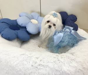 PartyKleid ,Hochzeitkleid Brautkleid HELLBLAU BEAUTY DOG