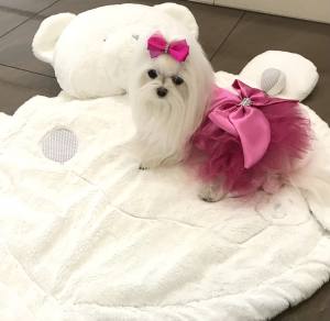 PartyKleid ,Hochzeitkleid Brautkleid PINK BEAUTY DOG