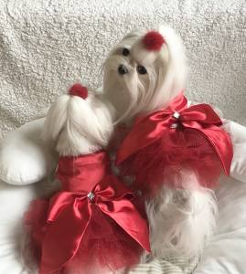 PartyKleid ,Hochzeitkleid Brautkleid ROT BEAUTY DOG