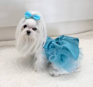 PartyKleid ,Hochzeitkleid Brautkleid TÜRKIS BEAUTY DOG