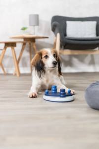 Hunde Push Away Strategiespiel Blau Level2