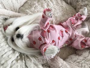 Pyjama Hausanzug OP BODY Rosa Herzen