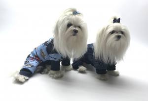 Pyjama Jogginganzug * DARKBLUE DOTS *Hausanzug
