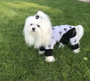 Pyjama Jogginganzug * GREY SKULLY *Hausanzug