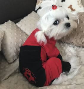 Pyjama Jogginganzug * RED LADY BUG *Hausanzug