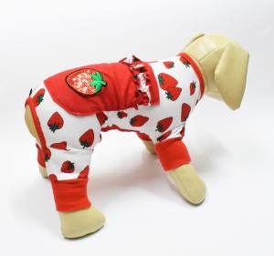 Pyjama Jogginganzug * SPARKLING STRAWBERRY *Hausanzug