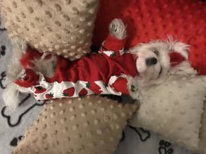 Pyjama Jogginganzug * STRAWBERRY *Hausanzug