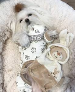 Pyjama,Anzug,Hausanzug ANIMALS mit Lätzchen
