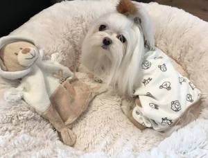 Pyjama,Anzug,Hausanzug ANIMALS mit Lätzchen