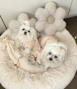 Pyjama,Anzug,Hausanzug,Op Anzug BÄRCHEN