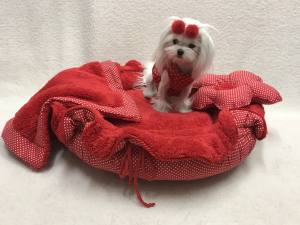 Hundebett RED FLOWER  Limited Edition Gr.2