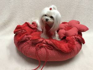 Hundebett RED FLOWER  Limited Edition Gr.2