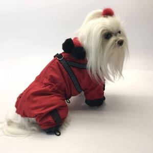 *RED PAWS *Hunde Wintermantel mit SchalGIRL ONLY Geschirr kurze Beine