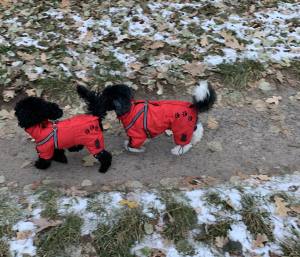 *RED PAWS *Hunde Wintermantel mit SchalGIRL ONLY Geschirr kurze Beine