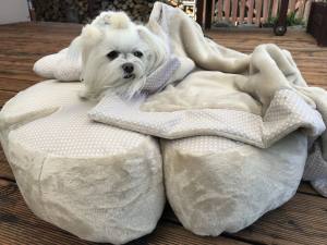 Hundebett RIESEN BLUME BEIGE Handmade