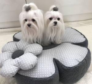 Hundebett RIESEN BLUME GREY Handmade
