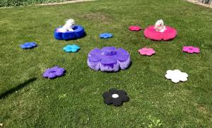 Hundebett RIESEN BLUME SKYBLUE Handmade
