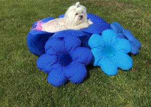 Hundebett RIESEN BLUME BLAU Handmade