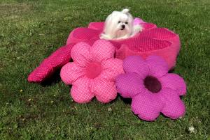 Hundebett RIESEN BLUME PINK Handmade