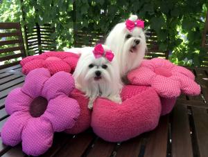 Hundebett RIESEN BLUME PINK Handmade