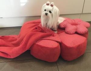 Hundebett RIESEN BLUME RED Handmade